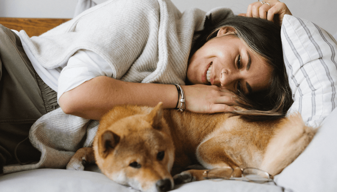 Are Breathable Nest Sofas Good for Your Pet’s Health? - SUNSPARK