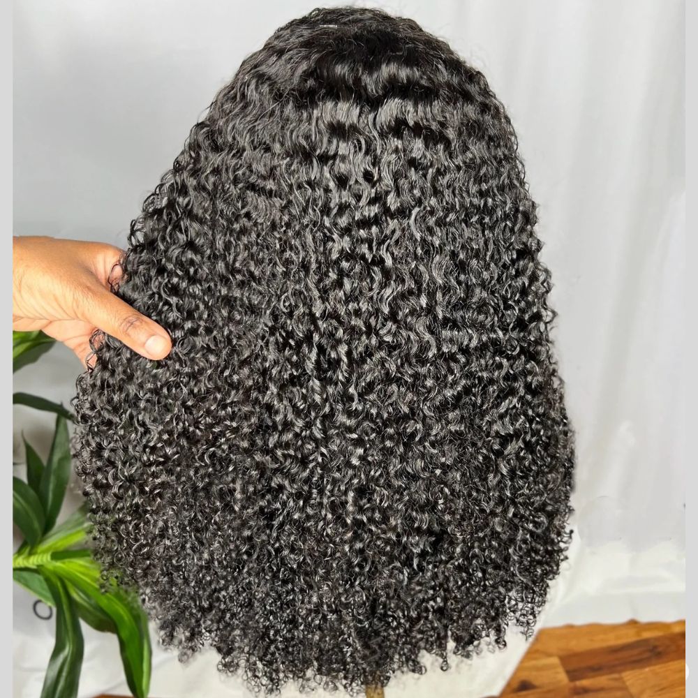 Ventilated HD Lace Frontal Curly With Kinky Edges Wig
