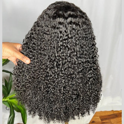 Ventilated HD Lace Frontal Curly With Kinky Edges Wig