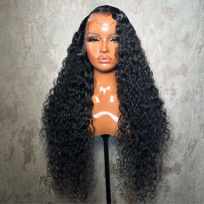 Put on & Go Glueless Curly 5x5 Pre Cut HD Lace Wig Beginner Friendly