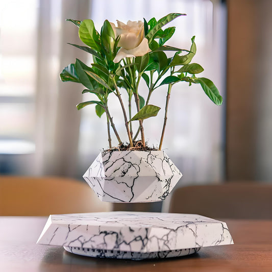 Levitating Plant Pot - Magnetic Floating Planter for Indoor Plants & Home Decor